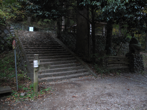 20171116hike (418)
